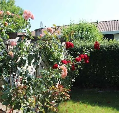 Ostseegarten Schonhagen (Schleswig-Holstein)